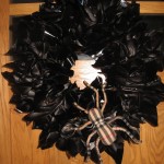 A Spider in Our Wreath