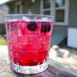 Blueberry Gin and Tonic